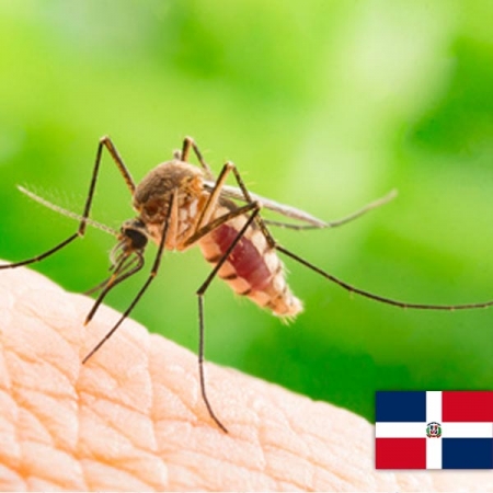 Komary na Dominikanie